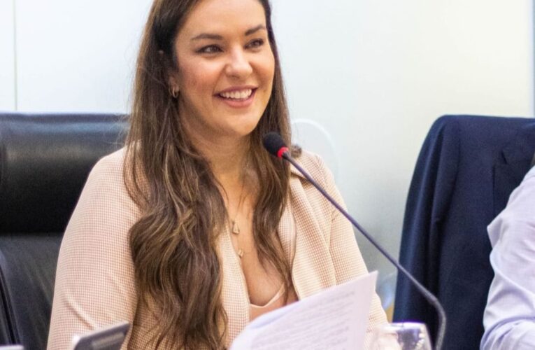Aprovado projeto de Lei da deputada Camila que cria política de cuidados e capacitação para pais e responsáveis por autistas