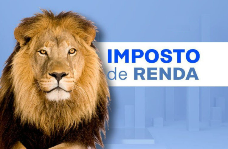 Organização prévia simplifica a declaração do Imposto de Renda